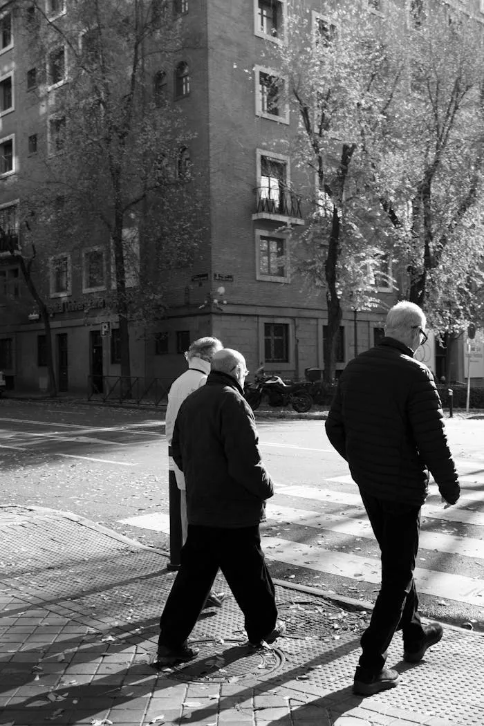 pexels-photo-35195347.jpeg